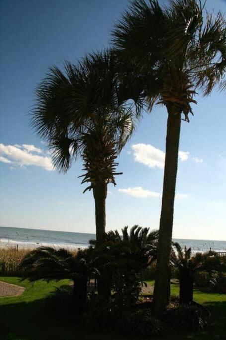 *Renovated Oceanfront Condo*Queen Beds*Pools*Hot Tubs*More*P220 Миртл-Бич Экстерьер фото